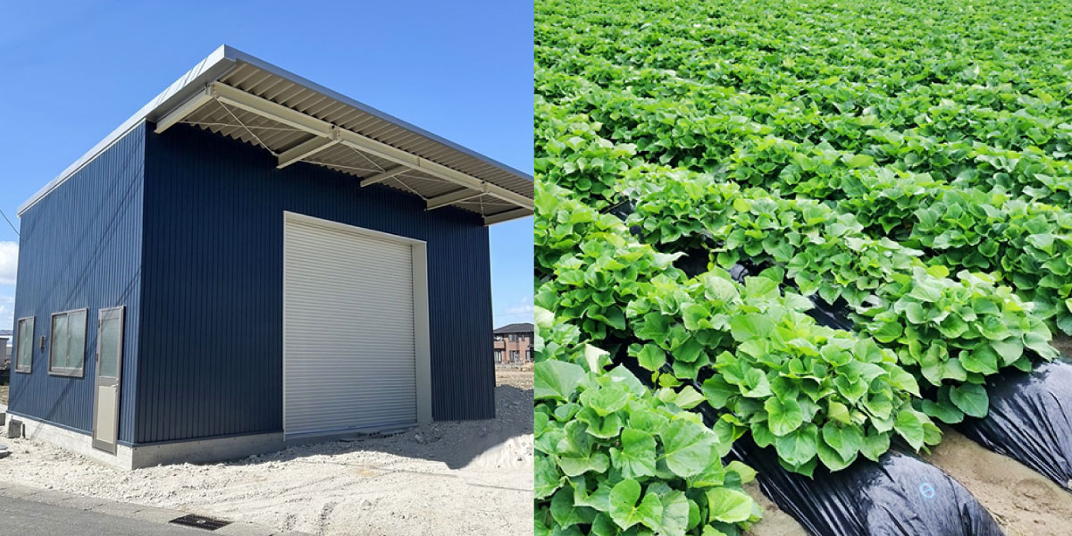 ちよだファームの